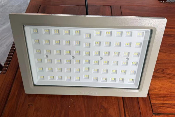 Explosion-Proof LED Lights
