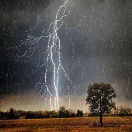 Understanding Thunderstorms and Safety Risks
