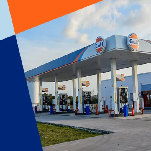 The Petroleum Industry in China
