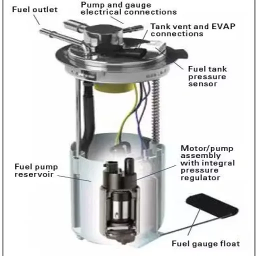Components of a Fuel Pump Assembly