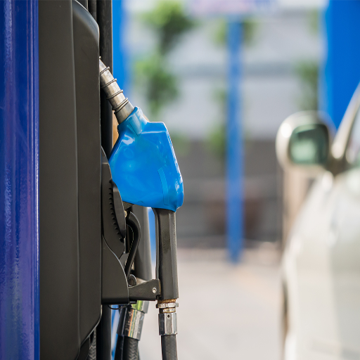 Environmental Considerations