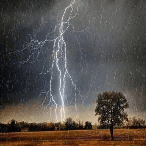 Understanding Thunderstorms and Their Risks