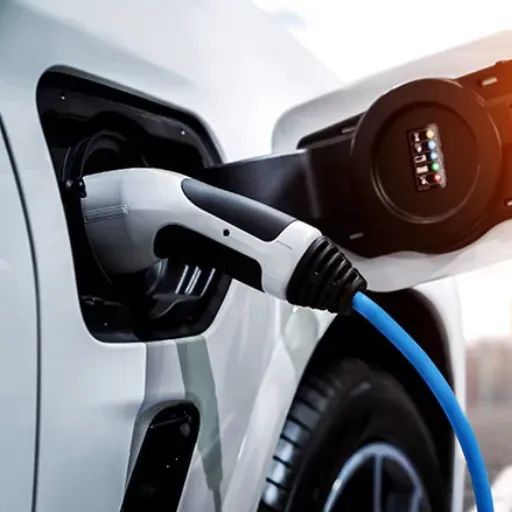Different EV Models and Their Charging Features