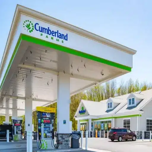 Notable Mentions in Gas Station Choices
