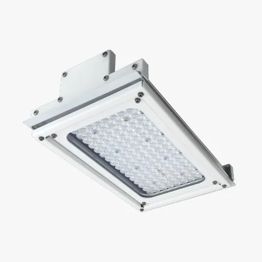 Introduction to LED Canopy Lights